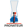 pronateur