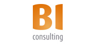 BI consulting