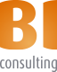 BI consulting