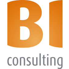 BI consulting