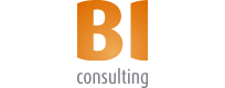 BI consulting